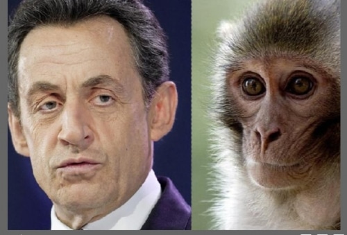 Et si les hommes politiques étaient comparables à des singes ?